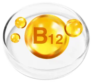 RevivaGlow Ingredients Vitamin B12